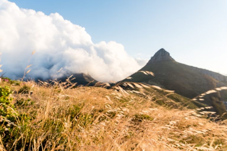 The Art of Budget-Friendly Outdoor Adventures