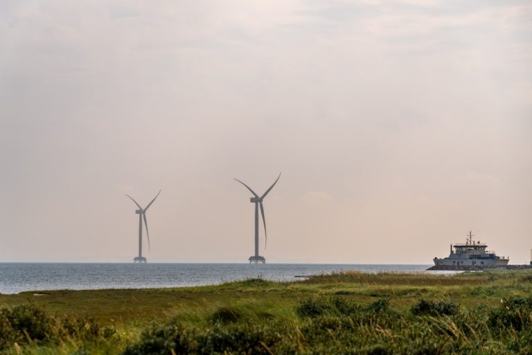 Sustainable Journeys: Embracing Eco-Friendly Travel Practices