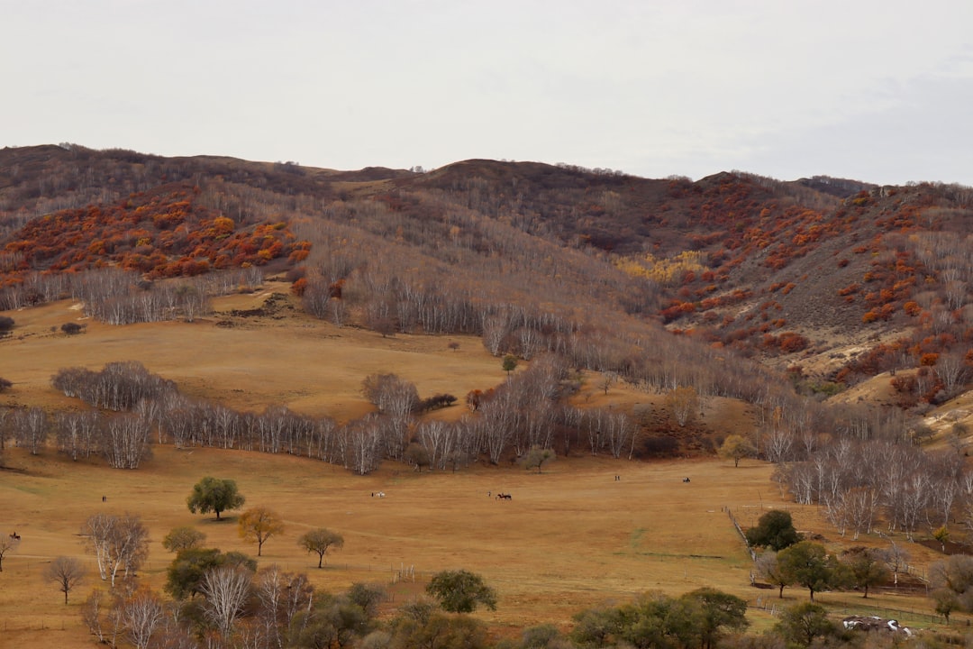 Embracing the Outdoors: A Journey to Reconnect with Nature